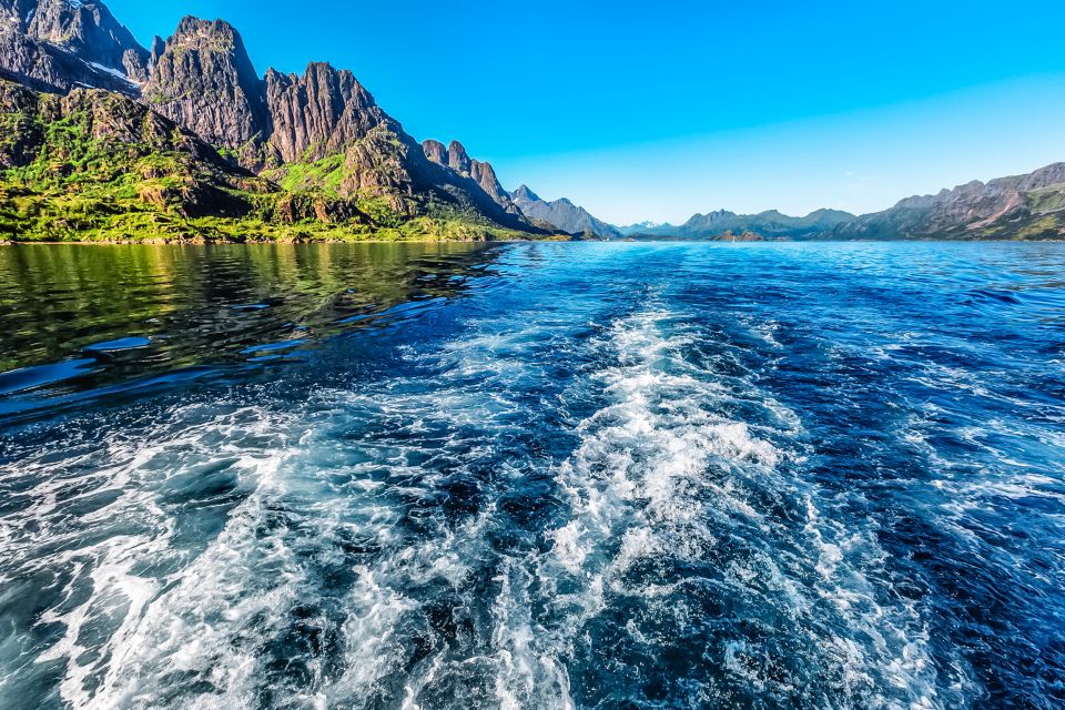 From Svolvær: Lofoten Islands Silent Trollfjord Cruise - Frequently Asked Questions