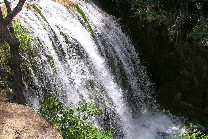 From Tangier : Day Trip to Chefchaouen and Akchour the Waterfalls - Tour Reviews and Ratings