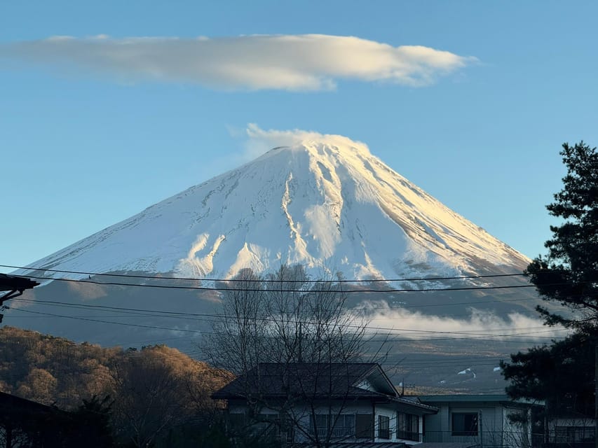 From Tokyo: Mount Fuji Private Tour(English Speaking Driver) - Pickup and Drop-off