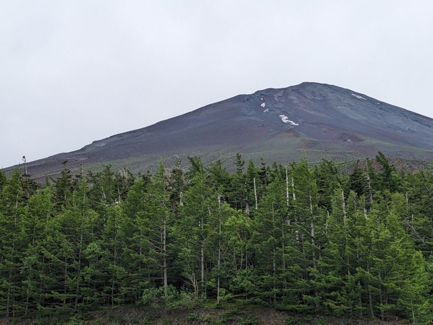 From Tokyo: Mt. Fuji & Hakone Tour W/ Return by Bullet Train - Meeting Point and Departure