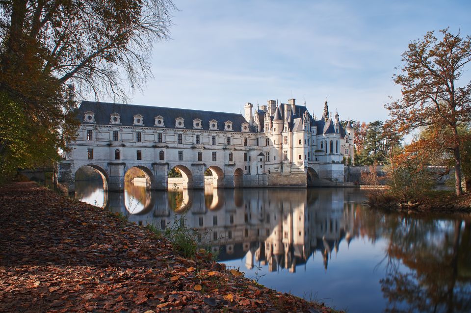 From Tours: Small Group Half Day Trip to Chenonceau Castle - Included Transportation and Driver