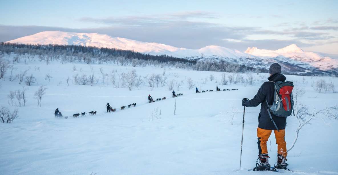 From Tromsø: Guided Husky Snowshoe Hike and Husky Camp Visit - Prohibited Substances and Behaviors