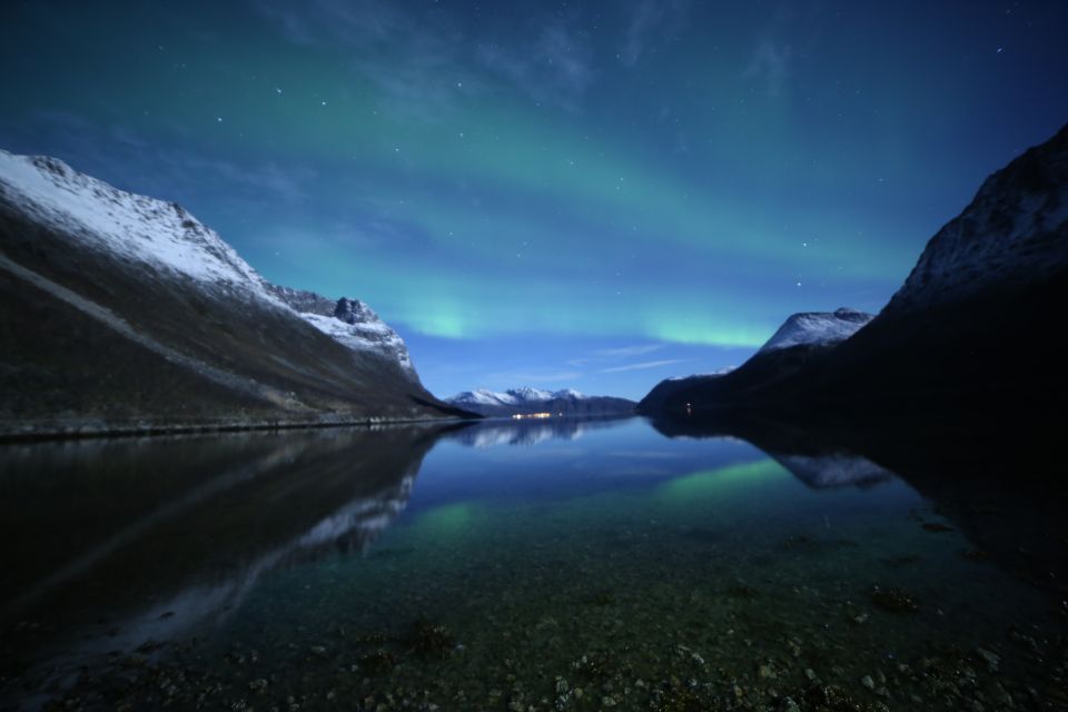 From Tromso: Northern Lights Photography Tour - Chances of Seeing Northern Lights