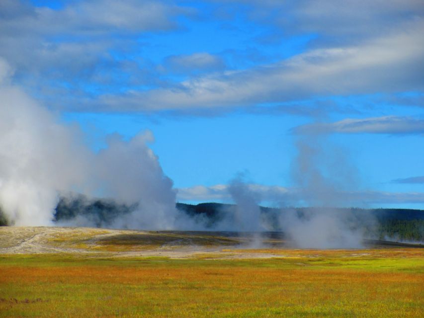 From West Yellowstone: Lower Loop Active Van Tour - Snacks and Lunch