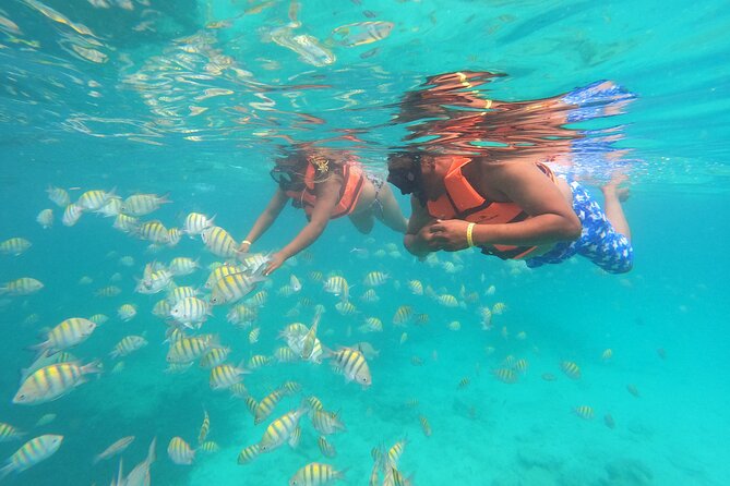 Full Day Buggy Experience and Snorkeling Cruise With Open Bar - Snorkeling Cruise Experience