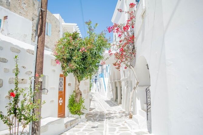 Full Day Bus Tour in Paros and Antiparos Islands From Paros - Tour Details and Cancellation Policy