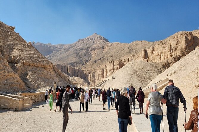 Full Day East Bank, West Bank, and Valley of the Queens in Luxor - Tour Operator and Pricing