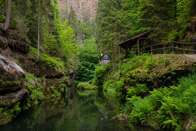 Full-Day Escape to Bohemian and Saxon Switzerland From Dresden - Accessibility