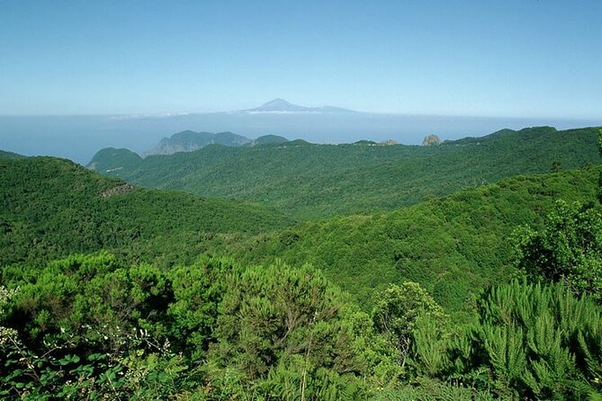 Full Day Guided Tour to La Gomera From Tenerife - Booking and Confirmation