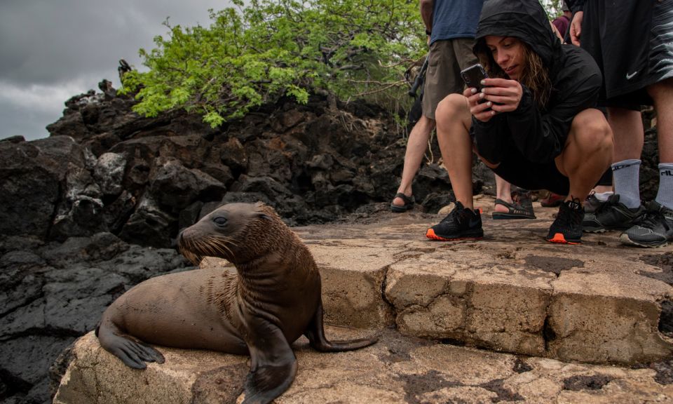 Full Day Leon Dormido and Lobos Island Tour - Inclusions and Restrictions