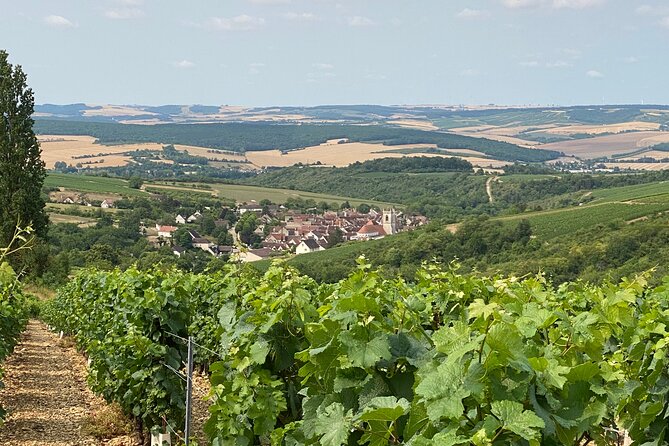 Full-Day North Burgundy and Chablis Wine Tasting Tour From Paris - Views and Bottle Enjoyment