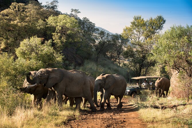 Full Day Pilanesberg Safari Adventure - Accessibility and Participation