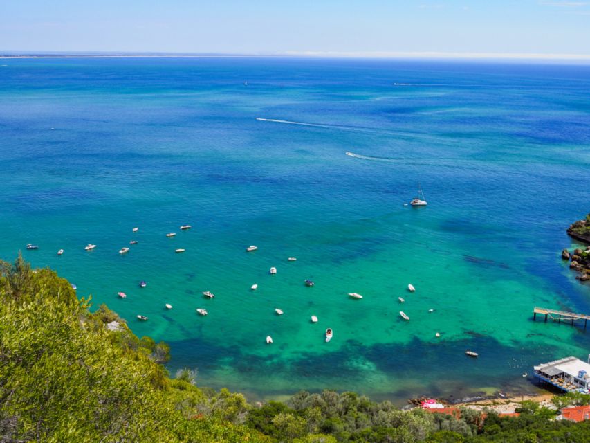 Full-Day Private Tour in Arrábida With Wine Tour From Lisbon - Admiring Christ the King