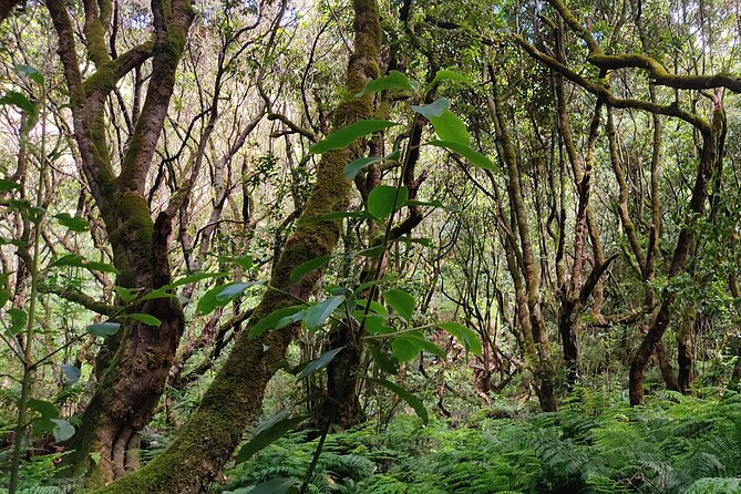 Full-Day Self Guided Hike in Caldeirão Verde Levada - Amenities at Starting Point