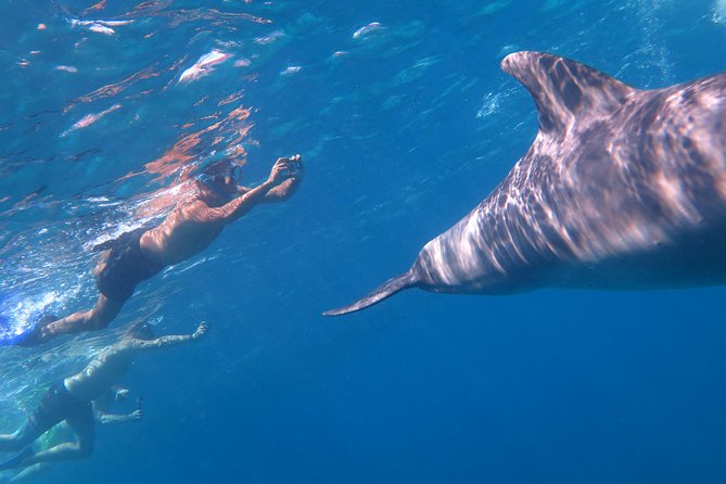 Full-Day Snorkeling With Dolphins in Hurghada With Lunch - Booking and Cancellation