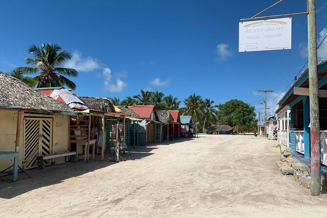 Full Day Tour to Isla Saona and Altos De Chavon - Key Points