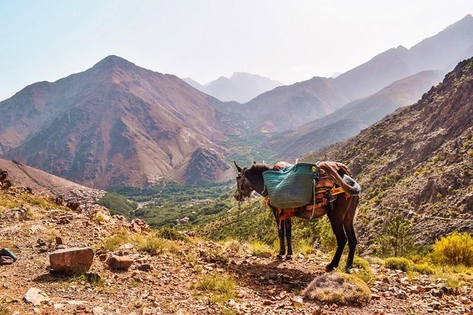 Full Day Trek to High Atlas Mountains (GOOD LEVEL OF FITNESS REQUIRED) - Accessibility