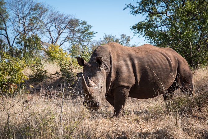 Game Drive in the Mosi Oa Tunya National Park - Livingstone - Additional Information and Booking Details