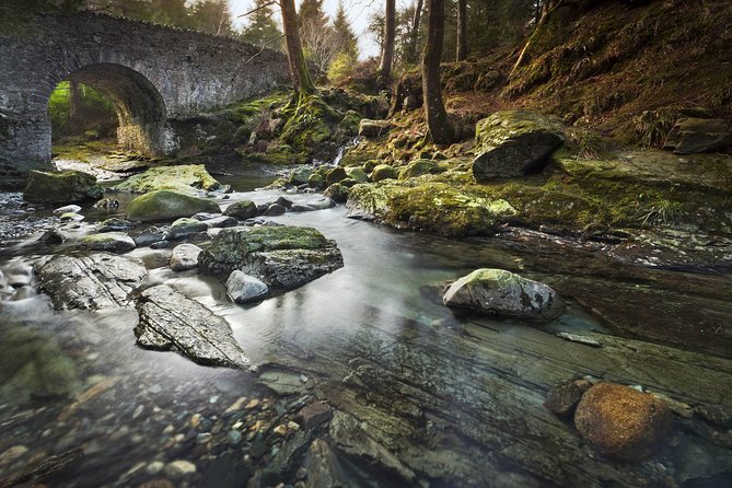 Game of Thrones - Tollymore Forest Trek - Highlights of the Trail