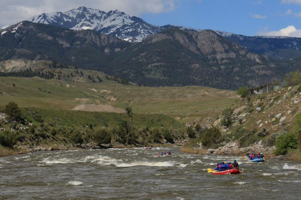 Gardiner: Half-Day Whitewater Raft Trip on the Yellowstone - Suitability for Different Groups