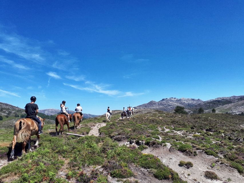 Gerês Braga: Horseback Ride in Peneda-Gerês National Park - Recap