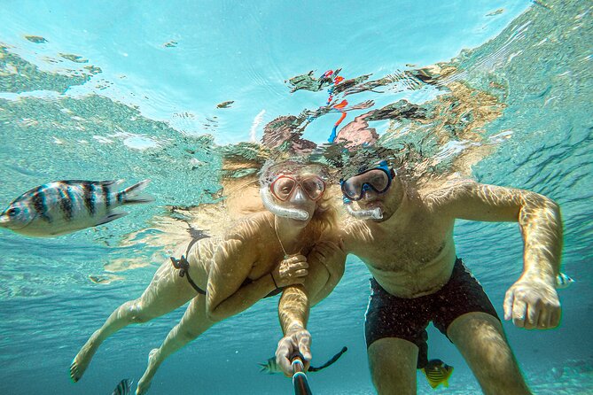 Giftun Islands Snorkeling Trip With Lunch and Water Activities - Required Attire and Gear