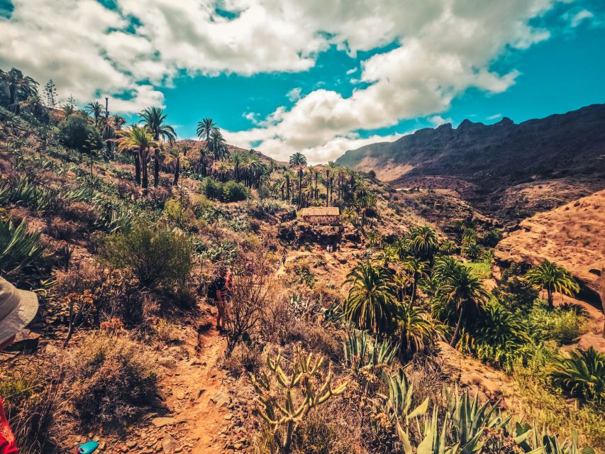 Gran Canaria: the Red Canyon Tour With Local Food Tasting - Lunch at a Traditional Canarian Restaurant