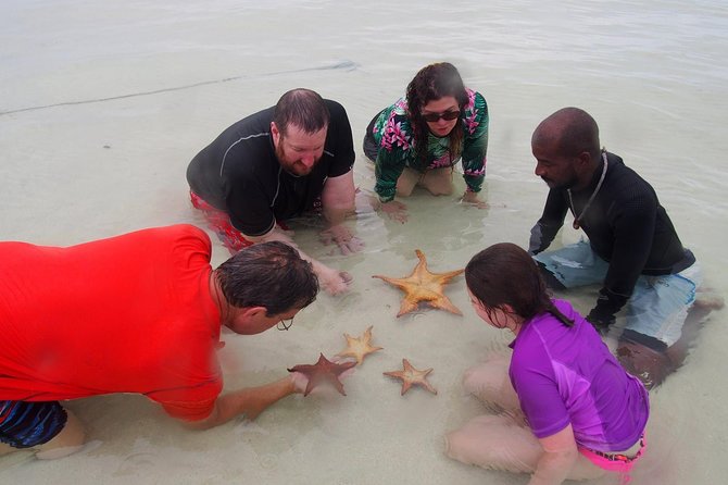 Grand Cayman Cruise: Starfish Point, Stingray City, Coral Garden - Tour Reviews and Ratings