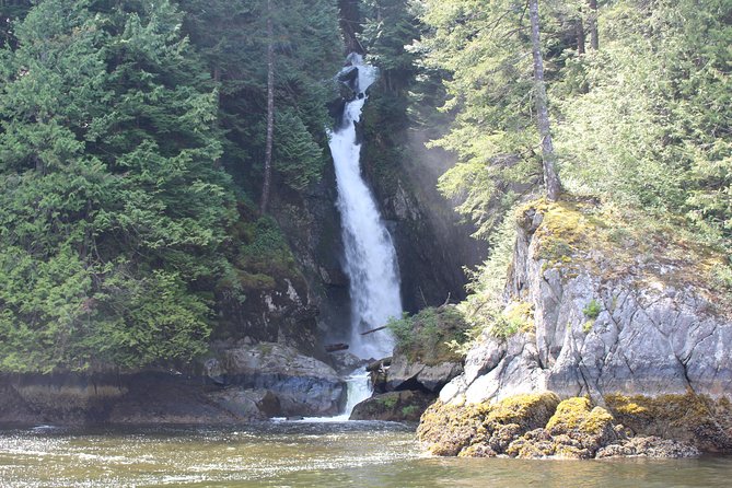 Granite Falls Zodiac Tour by Vancouver Water Adventures - Exploring Vancouver Harbour