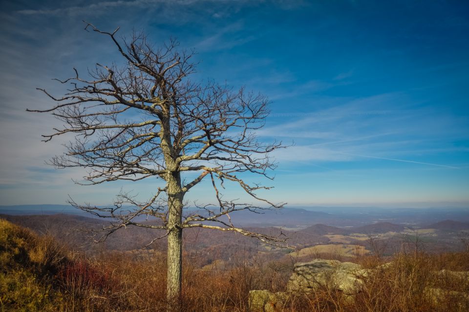 Great Smoky & Shenandoah National Park Driving Audio Tour - Engaging Storytelling and Context