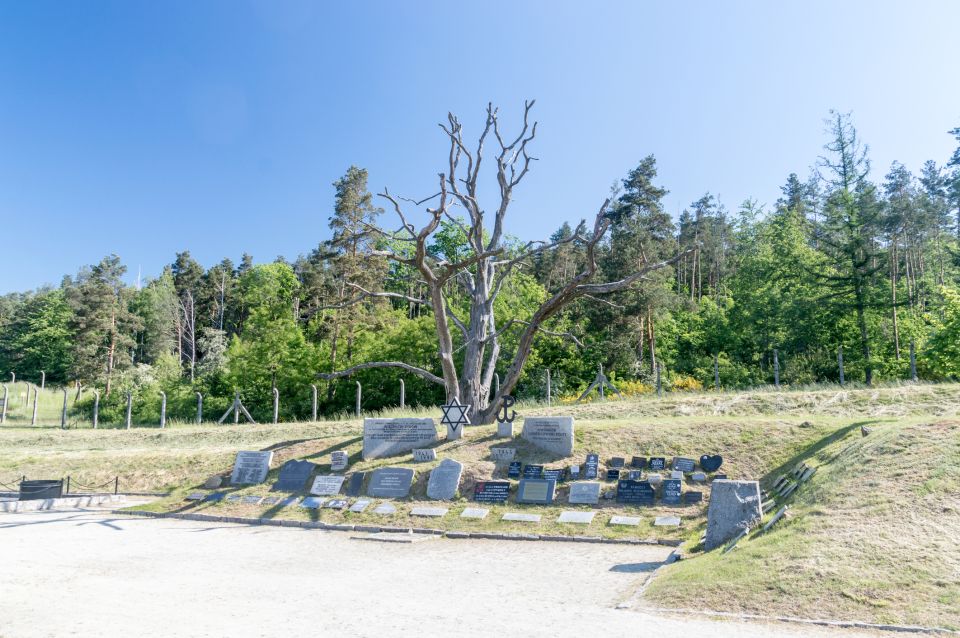 Gross-Rosen Camp & Jawor Tour - Exploring Churches of Peace