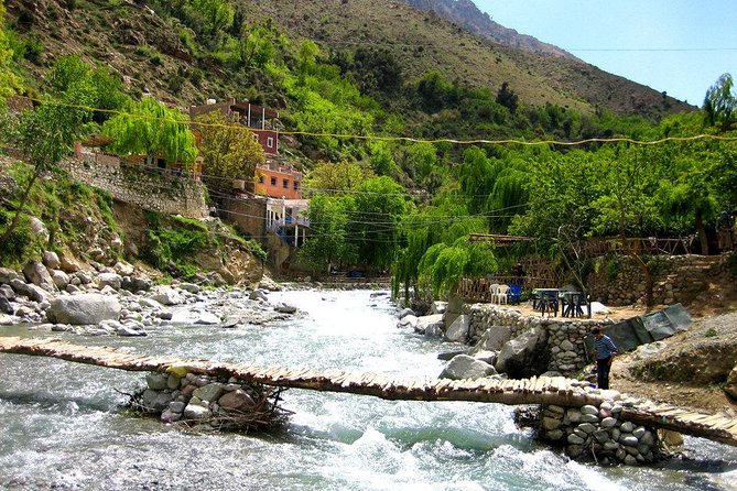 Group Shared Day Tour to Ourika Valley & Atlas Mountains - Guided Experiences