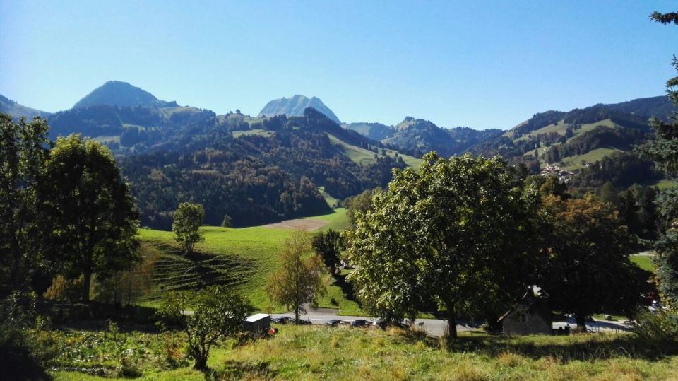 Gruyères, Cheese and Chocolate: Private Guided Tour - Frequently Asked Questions