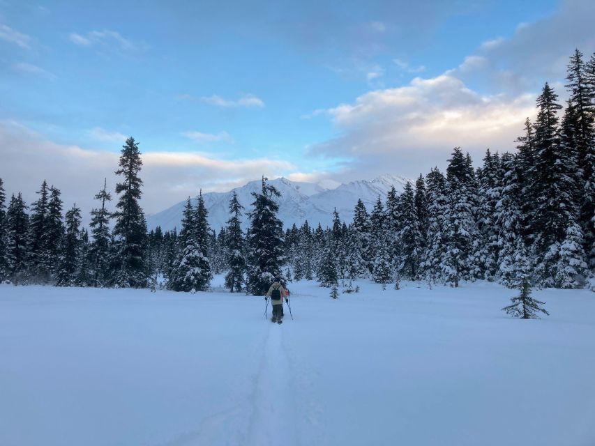 Guided Snowshoeing Adventure From Seward, Alaska - Views of Mountains and Glaciers