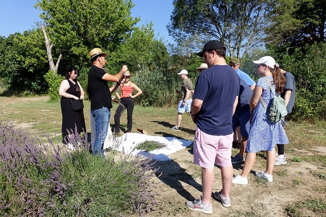 Guided Tour of Lavender Distillery Between Provence & Camargue - Amenities and Accessibility