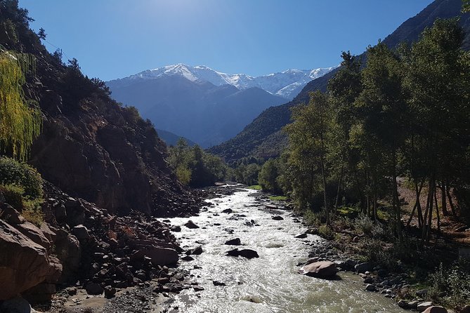 Half-Day Atlas Mountains Tour From Marrakech - Traveler Reviews