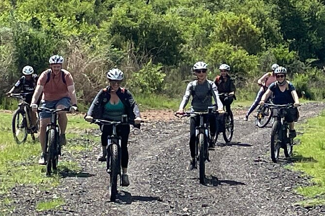 Half Day E-Biking With Wildlife Watching in Pretoria - Transportation and Accessibility