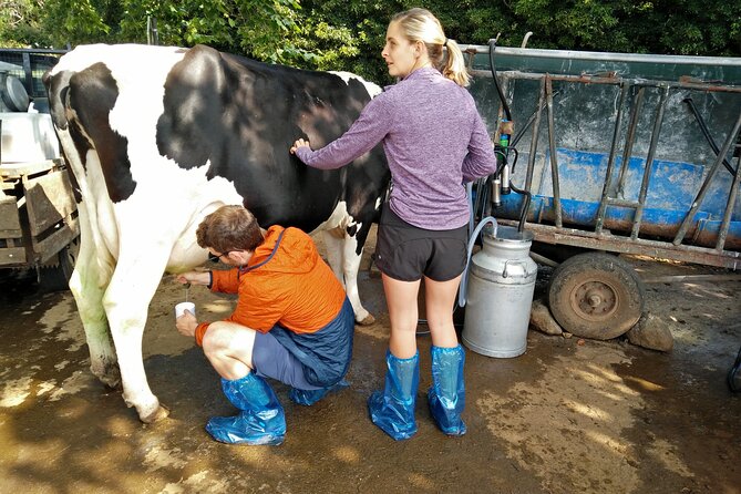 Half-Day Farm Visit and Cow Milking Experience - Directions and Pickup