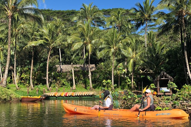 Half-Day Kayak and Waterfall Hike Tour in Kauai With Lunch - Highlights of the Tour