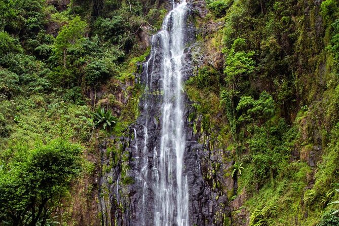 Half-Day Private Tour to Materuni Waterfalls and Coffee Excursion - Highlights of the Tour