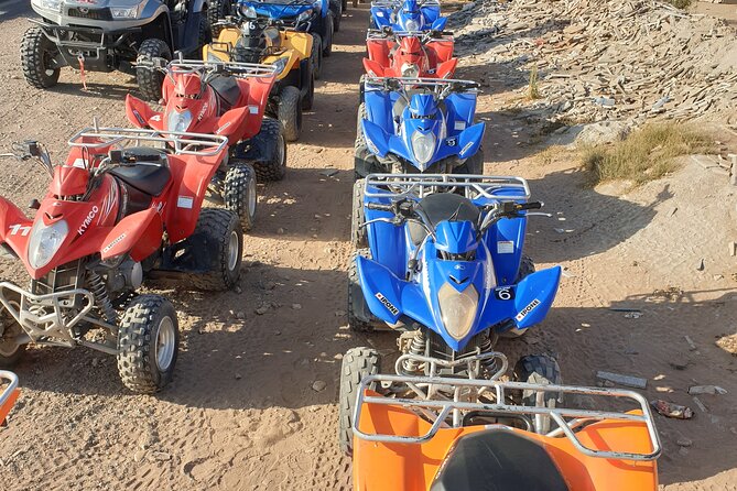 Half-Day QUAD in Agadir + Pick-Up Included From Agadir - Group Size Details