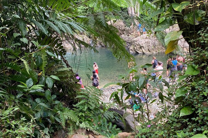 Half-Day River Adventure in El Yunque With a Local - Activity Level and Restrictions