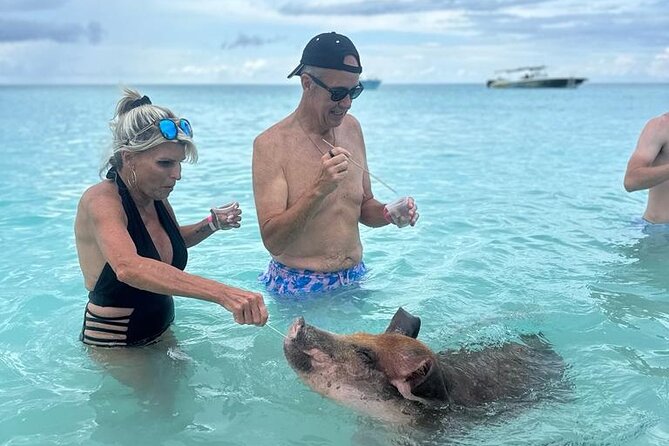 Half Day Swimming Pigs on Rose Island, Snorkeling and Lunch - Important Considerations and Limitations