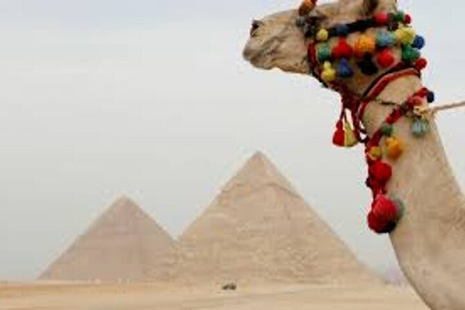 Half Day Tour To Giza Pyramids And Sphinx - Tour Highlights