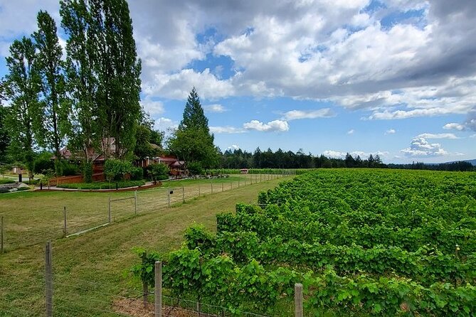 Half-Day Victoria to Cowichan Valley Wine Tour With Tastings - Accessibility and Suitability