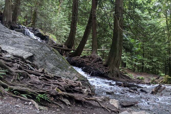 Harrison Day Trip Private With Spa in Harrison Hot Springs - Relaxation at Harrison Hot Springs