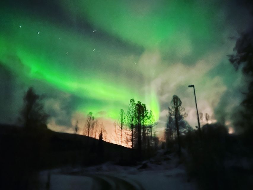 Harstad/Narvik/Tjeldsund: Northern Lights Sightseeing by Car - Transfers and Inclusions Overview