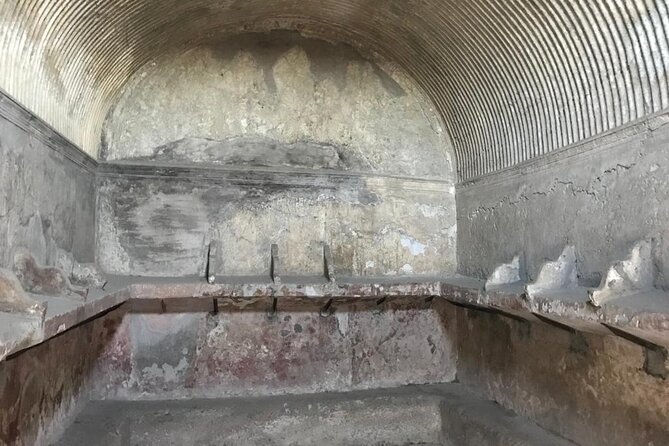 Herculaneum - Small Group Tour - Visitor Information and Reviews