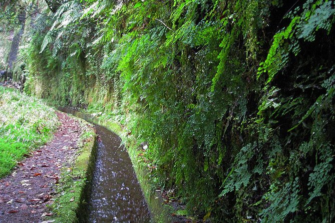 Hidden Corners: Levada Walk From Funchal - Meeting Point and Transportation