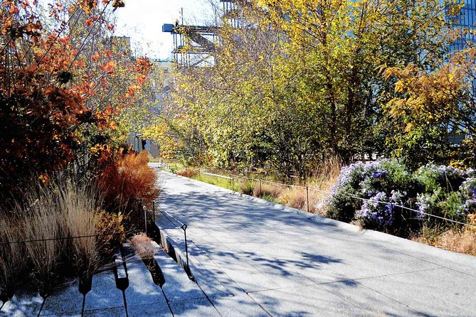 High Line and Chelsea Small Group Tour - Discover Vibrant Neighborhoods